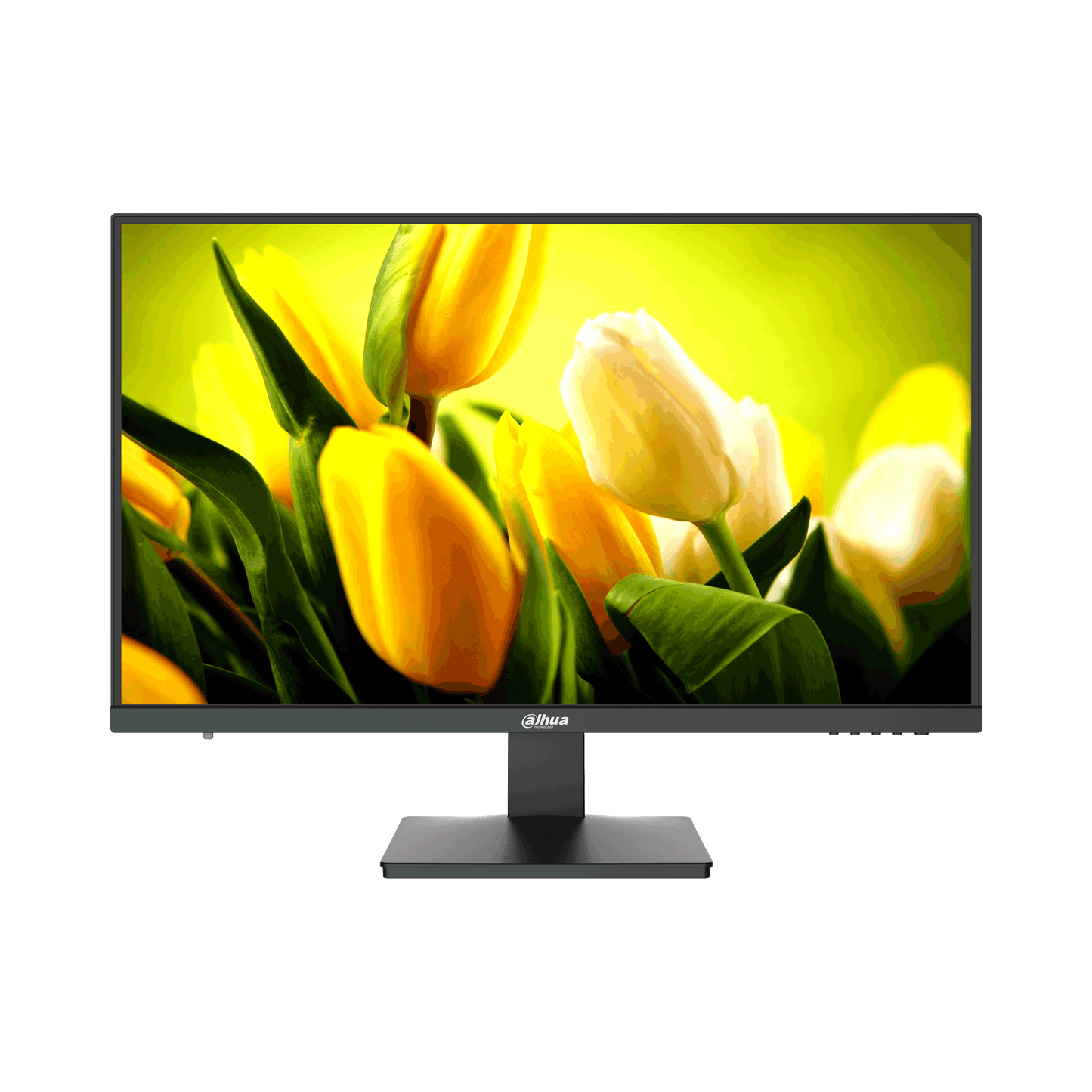 Dahua DHI-LM27-L200 | 27" Full HD CCTV Monitor